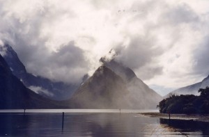 NZ6 01 (1) 